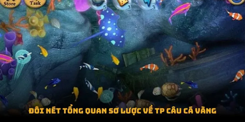 TP Câu Cá Vàng: Bí Quyết Chơi Game Hiệu Quả Nhất